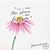 Debbie Skelton Corkin's profile image