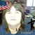 Tina Fife's profile image
