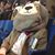 Brad Medaris's profile image