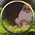 Juli Maynor's profile image
