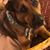 Katrina Taylor's profile image