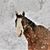Megan Collins's profile image