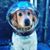 Scott Morris's profile image