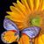 Chandra Robinson's profile image