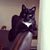 Elizabeth Shimeg Braymen's profile image