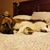 Jennifer Mitchell Carman's profile image
