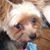 Karen Liles's profile image