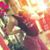 Ann Shaloom's profile image