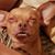 Jacs J-Rock Hunt's profile image