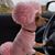 Tracey Hastings-Ward's profile image