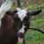 Debby Mann's profile image