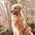 Laddie Jenna's profile image