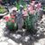 Tammy Waldrop Ramey's profile image