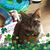 Heidi Girard's profile image