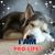Tamara Sanders's profile image