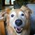 Paula Thompson's profile image