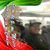 Jesus Rodriguez's profile image