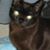 Janet Thompson's profile image