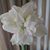 Julie Anderson's profile image