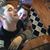 Jake Asvin Askvig's profile image