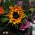 Becky Samons Ardrey's profile image