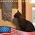 Karla Bannerman's profile image
