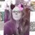 Anna Shoun Ramahi's profile image