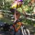 Austin Feula's profile image