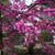 Maricela Dominguez-Lopez's profile image
