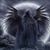 Karl Lysowsky's profile image