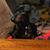Tammy Lawing Christy's profile image