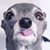 Kyle Rich's profile image