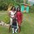 Kenicha Dunkley's profile image