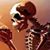 Allen Burian's profile image