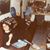 Susan Diane Mooney's profile image