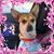 Jamie Reynosa's profile image