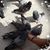 Gloria Clemente's profile image