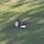 Paul A Bruggeman's profile image