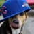 Richard Brunke's profile image