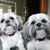 Liz Burks's profile image