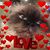 Lora Patterson's profile image