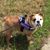 Debbie Gray's profile image