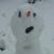 Kathryn Weiner's profile image