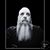 David King's profile image