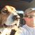 Gregg Behlman's profile image