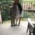 Michelle Heidig Lalli's profile image