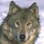 Richard Heinz's profile image