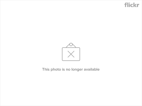 t3rice's profile image