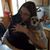 Amber VanderMolen-Harraman's profile image