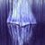Felip Gallegos's profile image